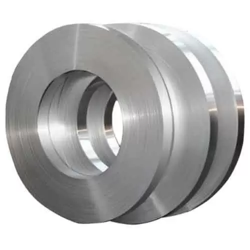 Stainless Steel Strip